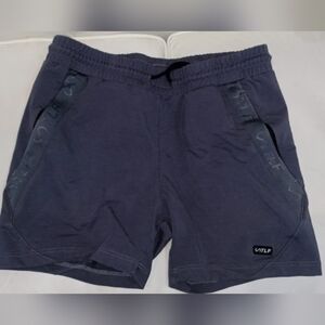 TLF Apparel Men's Gray Shorts